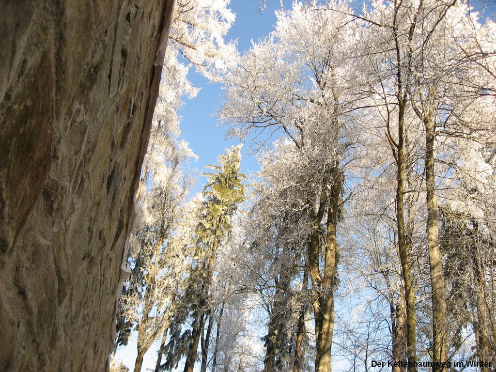 Landgasthof Spitzerwirt Sankt Georgen im Attergau Exterior foto