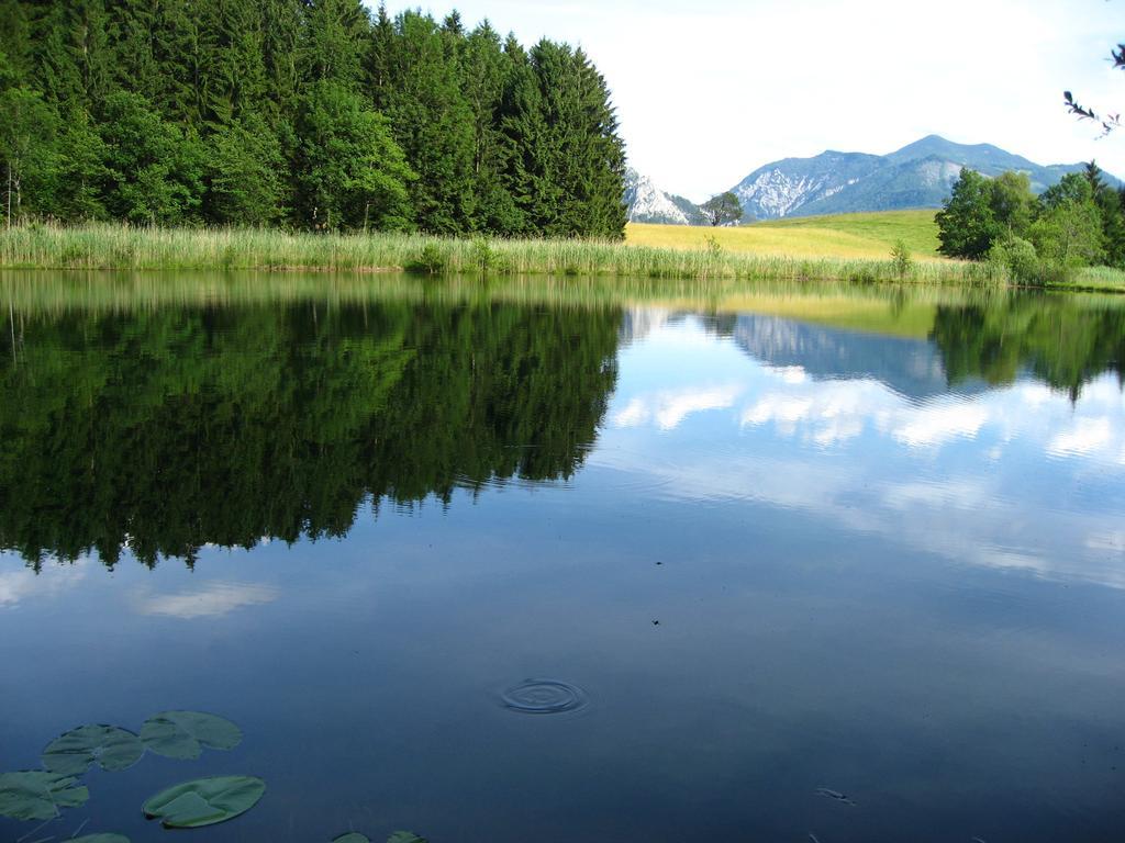Landgasthof Spitzerwirt Sankt Georgen im Attergau Exterior foto